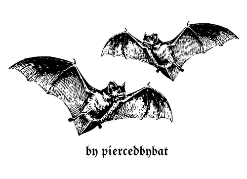 piercedbybat